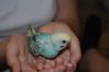 DSC_3961.JPG