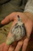DSC_3973.JPG