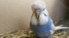 IMG-20171013-WA0130.jpeg