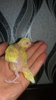 20171014_145001.jpg