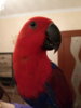 20171014_213614.jpg