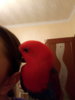 20171014_213641.jpg