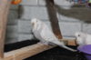 IMG_5478.JPG