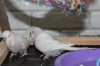 IMG_5484.JPG