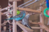 _DSC8349@0,25x.jpg