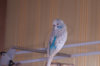 _DSC8172@0,25x.jpg