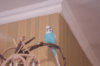 _DSC8270@0,25x.jpg