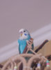 _DSC8375@0,25x.jpg