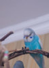 _DSC8356@0,5x.jpg