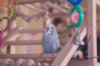 _DSC8306@0,25x.jpg