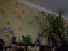 IMG_20171017_210418.jpg