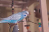 _DSC8317@0,25x.jpg
