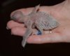 DSC_4088.JPG