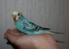 DSC_4063.JPG