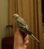 DSC_4082.JPG