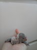 20171021_095829.jpg