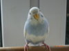 DSC02049.JPG