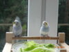 DSC02048.JPG