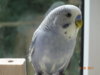 DSC02050.JPG