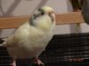 DSC02052.JPG