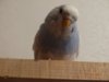 DSC02053.JPG