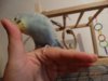 DSC02060.JPG