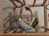 DSC02058.JPG