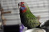 IMG_1579.JPG.jpeg