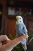 DSC_4101.JPG