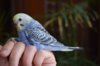 DSC_4112.JPG