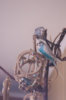 _DSC8494@0,25x.jpg