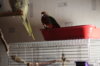 IMG_1597.JPG.jpeg