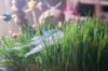 _DSC8393@0,25x.jpg