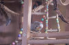_DSC8556@0,25x.jpg
