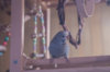 _DSC8562@0,25x.jpg