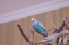 _DSC8544@0,25x.jpg