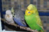 IMG_5647.JPG
