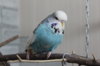 IMG_5664.JPG
