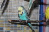 IMG_5644.JPG
