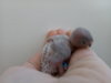 20171026_092659.jpg