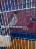 P71028-151611.jpg