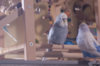 _DSC8631@0,25x.jpg