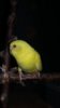 20171029_195041.jpg
