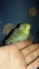 20171029_215512.jpg