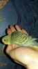 20171029_215343.jpg