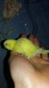 20171029_215307.jpg