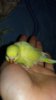 20171029_215302.jpg