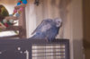 _DSC8662@0,25x.jpg