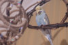 _DSC8122@0,25x.jpg
