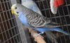 DSC_4138.JPG